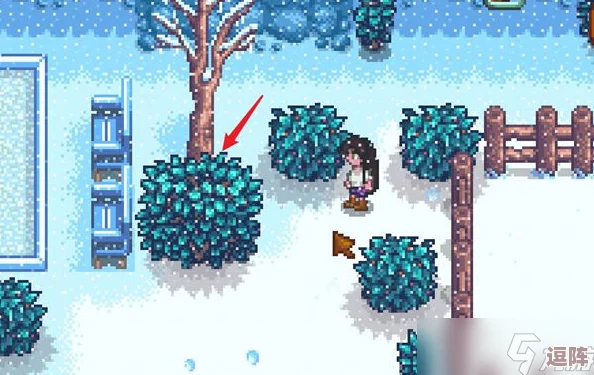 《星露谷物语》冬日谜团全攻略:解锁暗影人秘密,探索冬日冒险新玩法 《星露谷物语》冬日谜团全攻略:解锁暗影人秘密,探索冬日冒险新玩法