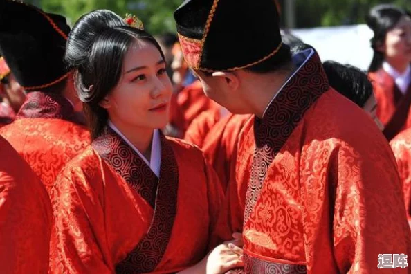 91拔萝卜：探寻传统农耕文化中的乡村生活与人情世故