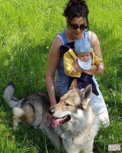 狗儿长大了1—40：从幼犬到成年，见证忠诚与陪伴的成长历程