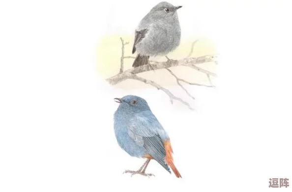 繁殖季节7.1汉化手游：网友评价称其画面精美玩法独特，是值得一试的佳作！