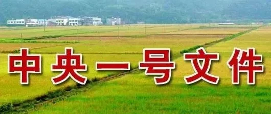 拨萝卜做钢筋:传统农业与现代建筑的结合,探讨农村发展新路径 拨萝卜做钢筋:传统农业与现代建筑的结合,探讨农村发展新路径