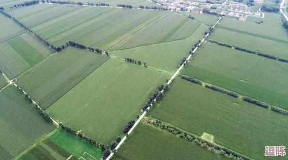 拨萝卜做钢筋:传统农业与现代建筑的结合,探讨农村发展新路径 拨萝卜做钢筋:传统农业与现代建筑的结合,探讨农村发展新路径