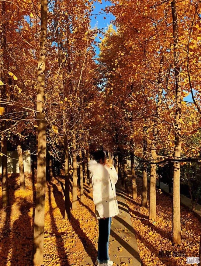 妖精网:传闻某知名明星与神秘网红恋情曝光,背后隐藏的真相让人惊讶不已! 妖精网:传闻某知名明星与神秘网红恋情曝光,背后隐藏的真相让人惊讶不已!