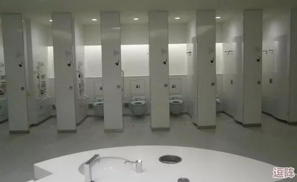 国产厕拍：聚焦国货的智能化创新与传统厕所文化的结合，带来全新的使用体验与环保理念