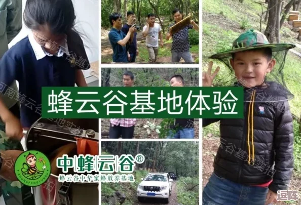 艾尔登法环探险必备:掌握爬墙绝技,高效翻越障碍按键操作全攻略 艾尔登法环探险必备:掌握爬墙绝技,高效翻越障碍按键操作全攻略