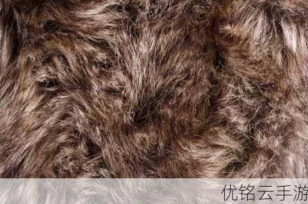 震惊！AAAA级毛皮最简单方法，竟然只需这三步，让你轻松获得奢华质感！