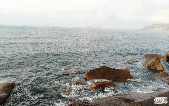 海绿意盎然海角陪妈妈过生日，惊现海底奇观！百年罕见生物现身引发全场热议！