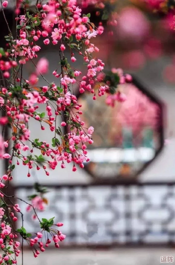 娇小初叫videos摘花的特色：展现青春活力与自然之美，带你领略独特的视觉盛宴与心灵感受