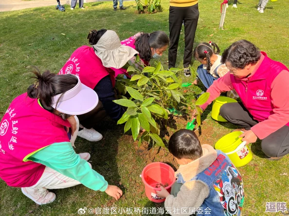 婷婷五月开心：探索植物在生态平衡中的作用与意义，共建和谐自然环境的重要性