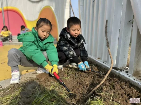 婷婷五月开心：探索植物在生态平衡中的作用与意义，共建和谐自然环境的重要性